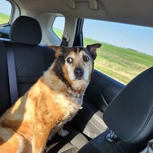 Meet your Posher, Valerie